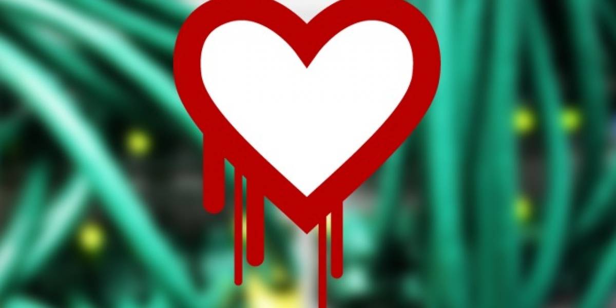 ¿Cómo revisar qué contraseñas cambiar a raíz del bug Heartbleed?