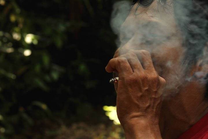 Jesús desconocía la existencia de leyes que prohíben y sancionan con cárcel a quien atente contra la vida silvestre