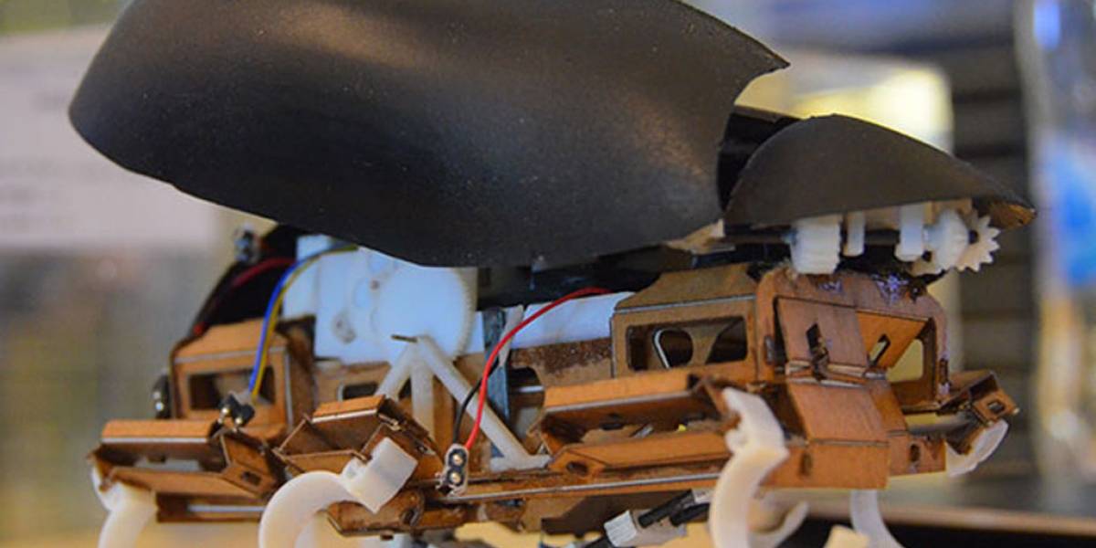 Esta cucaracha robótica puede dar grandes saltos