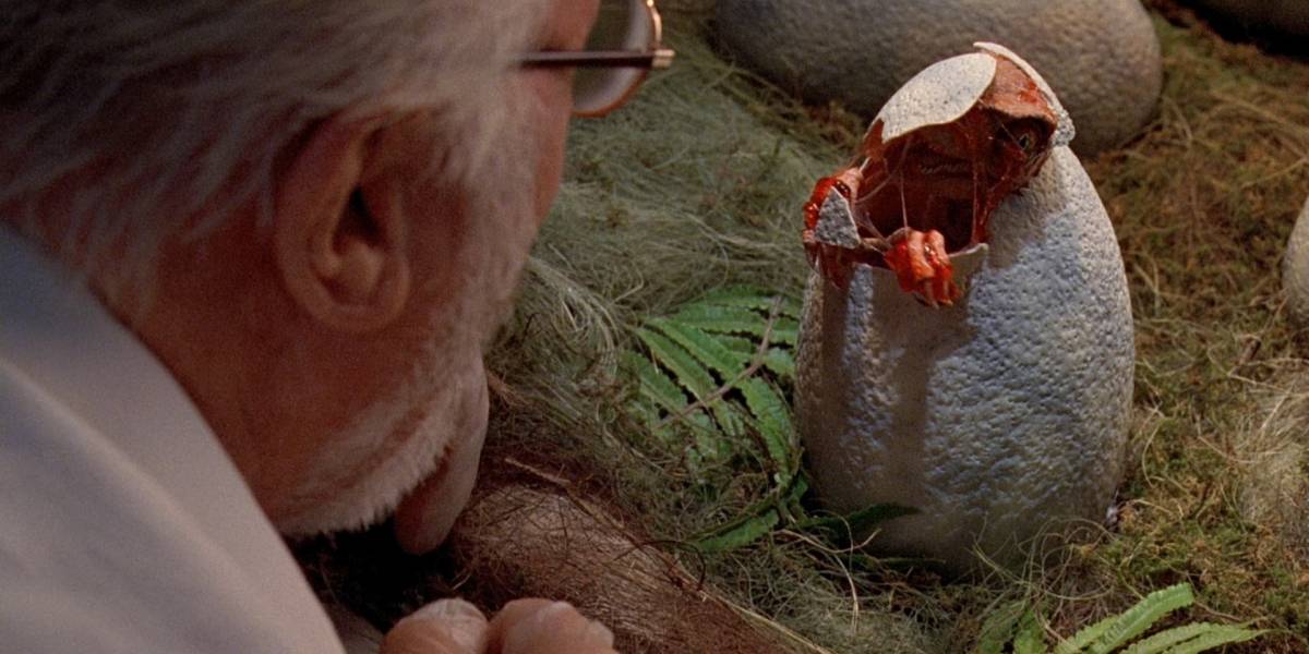Treinta huevos de dinosaurios fueron encontrados en perfectas condiciones en China
