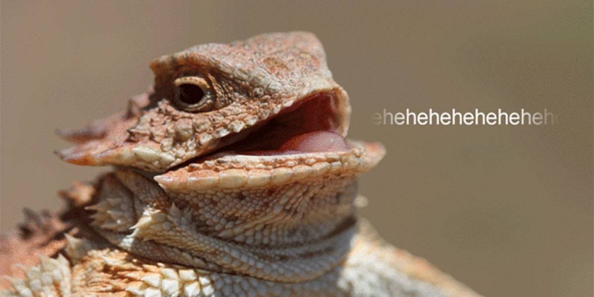 Hackean Lizard Stresser, el servicio de ataques DDoS de Lizard Squad