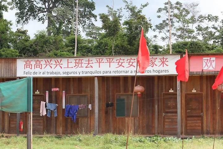 En los campamentos de las empresas chinas que trabajan en el oriente boliviano niegan tener relación con el tráfico del jaguar