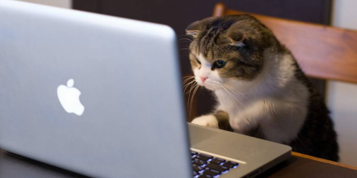 Ex empleado de la NSA encuentra método para hackear webcams de Mac