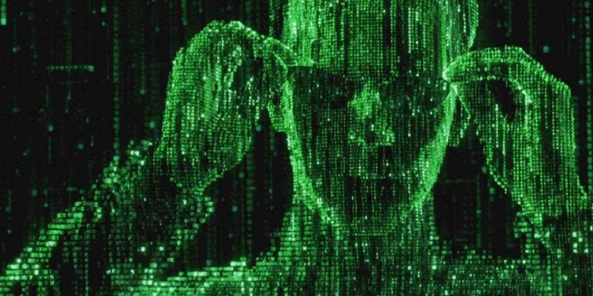 Científicos desarrollan una "malla electrónica" para conectar neuronas a una máquina