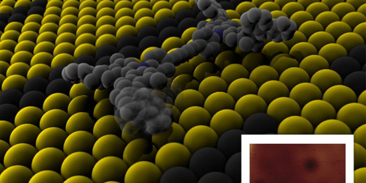 Investigadores crean el vehículo más pequeño del mundo