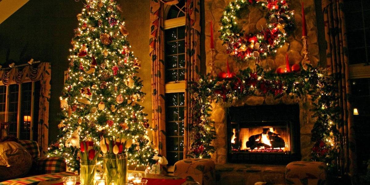 Científicos buscan el código genético perfecto para crear árbol de navidad