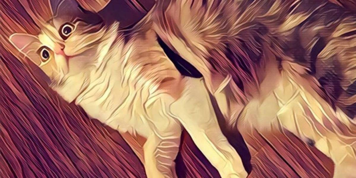 NeuralStyler transforma tus videos en obras de arte a la Prisma