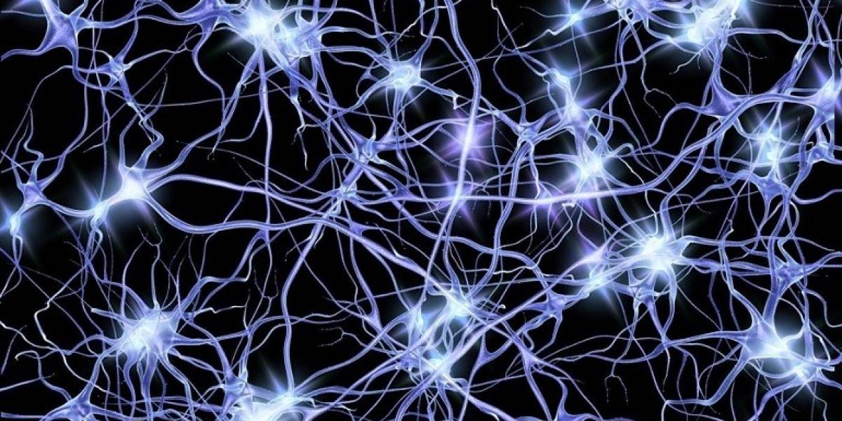 Red de neuronas artificiales aprende a reproducir el contenido de tu cerebro