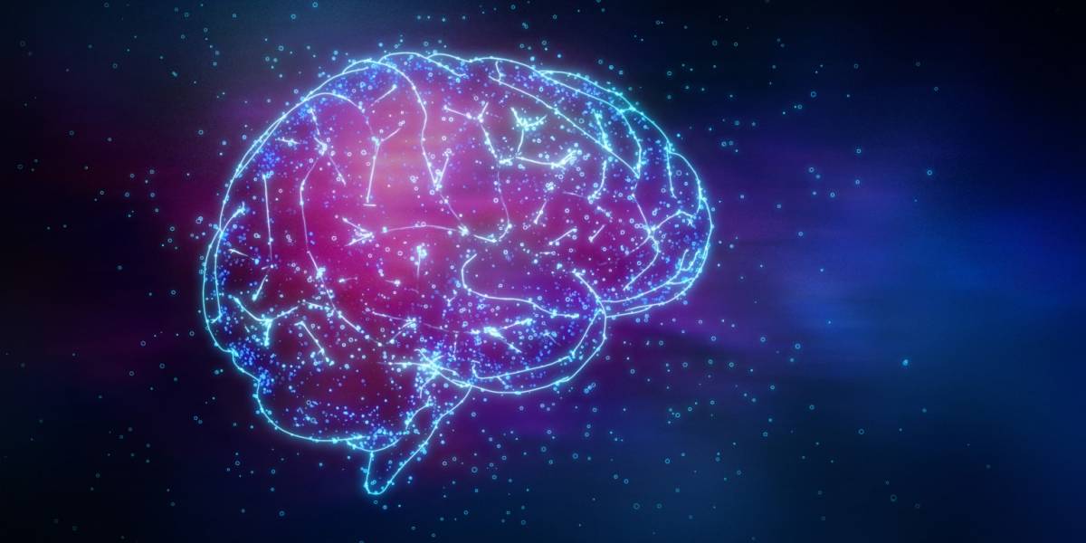 Científicos creen haber encontrado el lugar del cerebro donde se aloja la consciencia humana