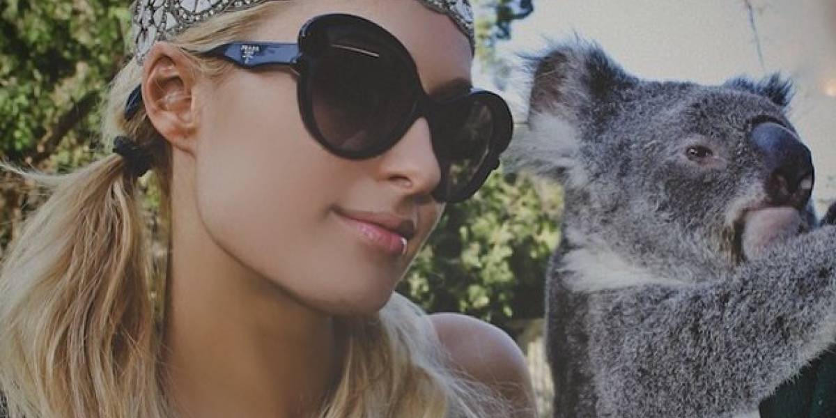 Instagram busca prevenir el maltrato animal con aviso a sus usuarios