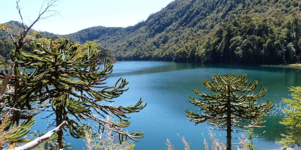 Wikitour 2014 busca fomentar el turismo en Chile
