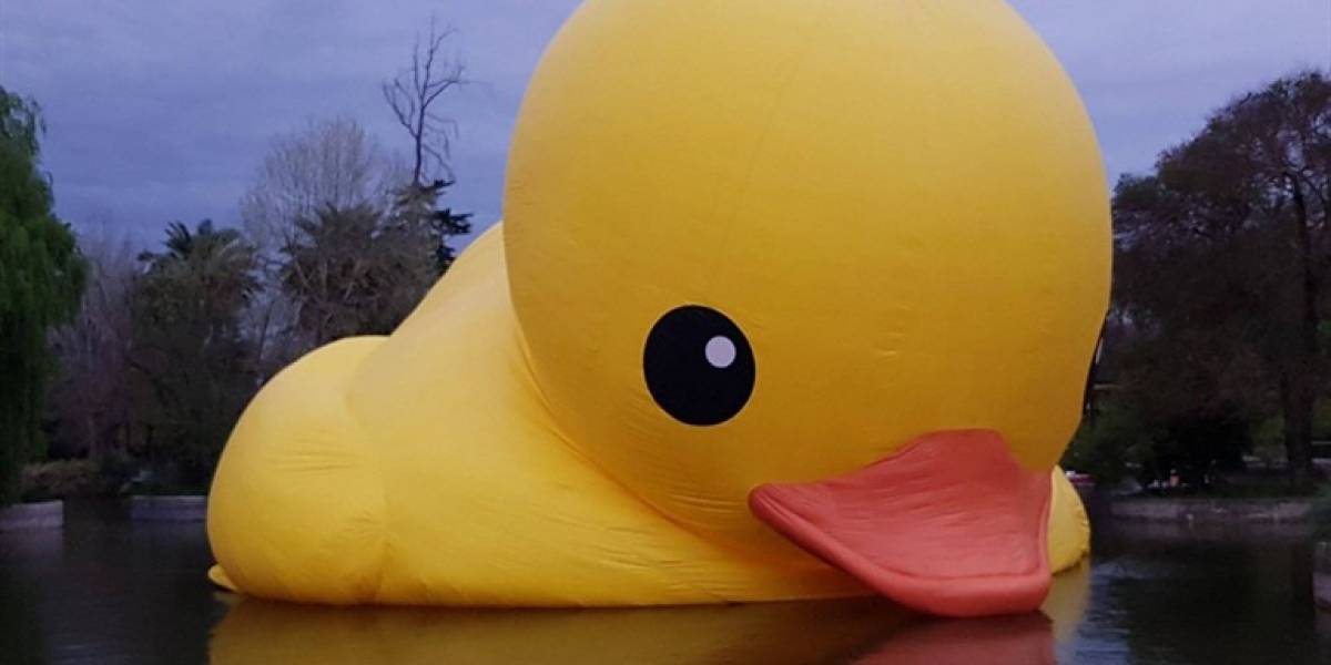 Este juego te permite salvar al Pato Gigante de Hule fallecido en Santiago