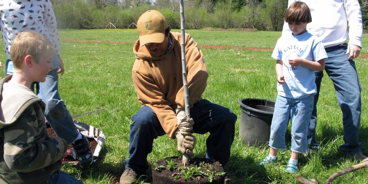 PornHub plantará un árbol por cada 100 videos para adultos vistos