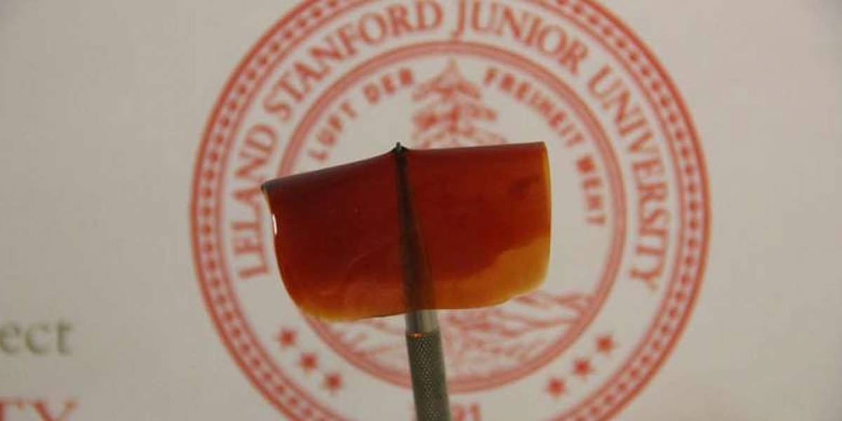 Científicos crean músculo artificial que puede sanarse a sí mismo