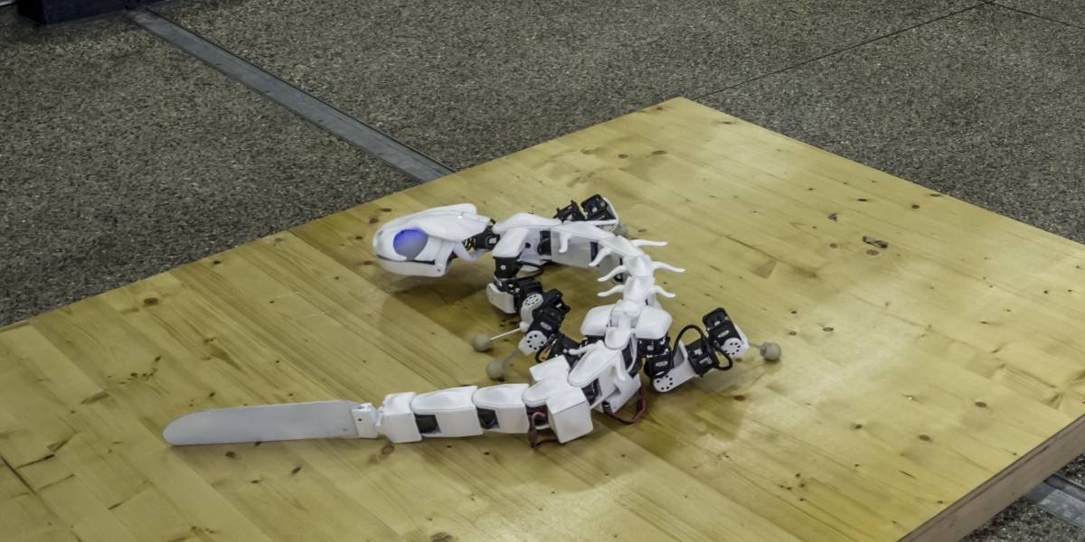Este robot salamandra se mueve igual que una salamandra real