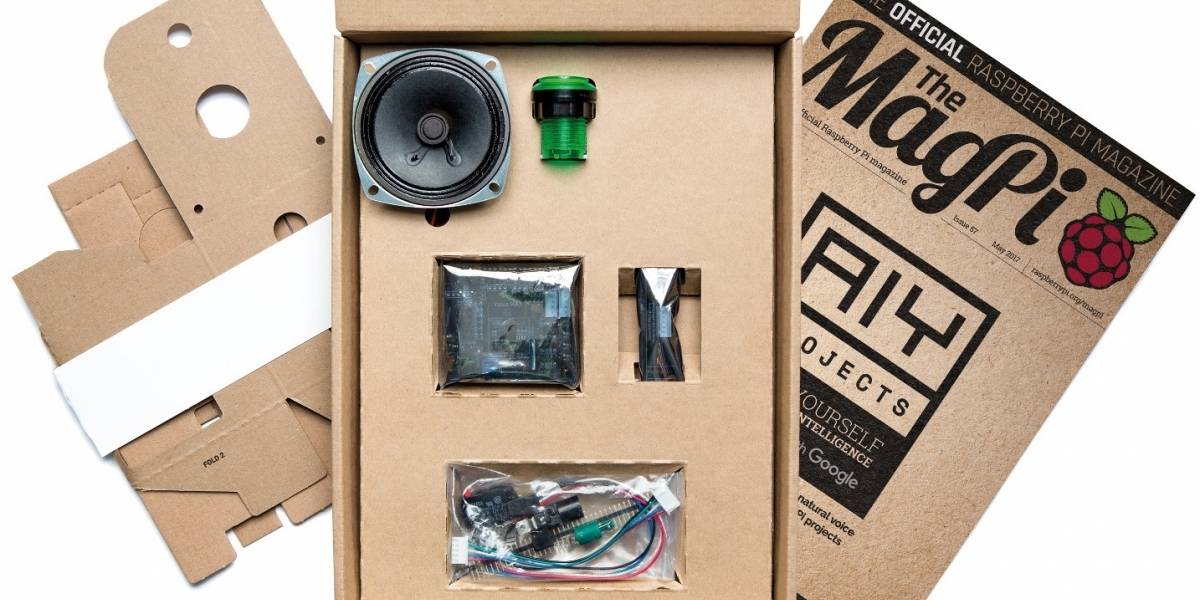 Google transforma a Raspberry Pi en tu nuevo mejor amigo