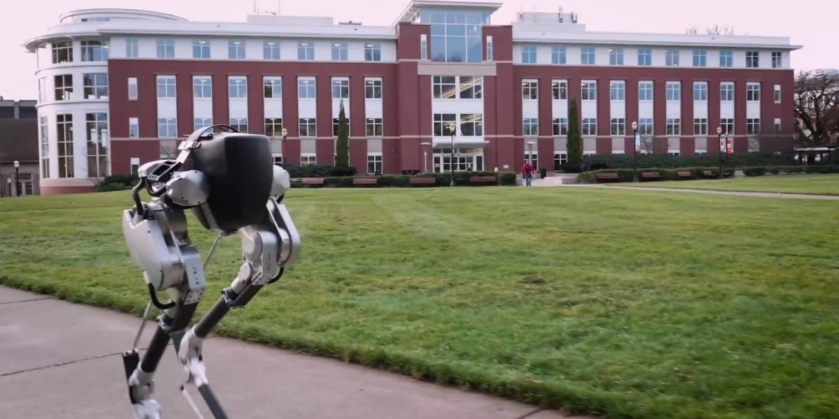 Crean robot que camina como pollo, pero es tremendamente eficiente
