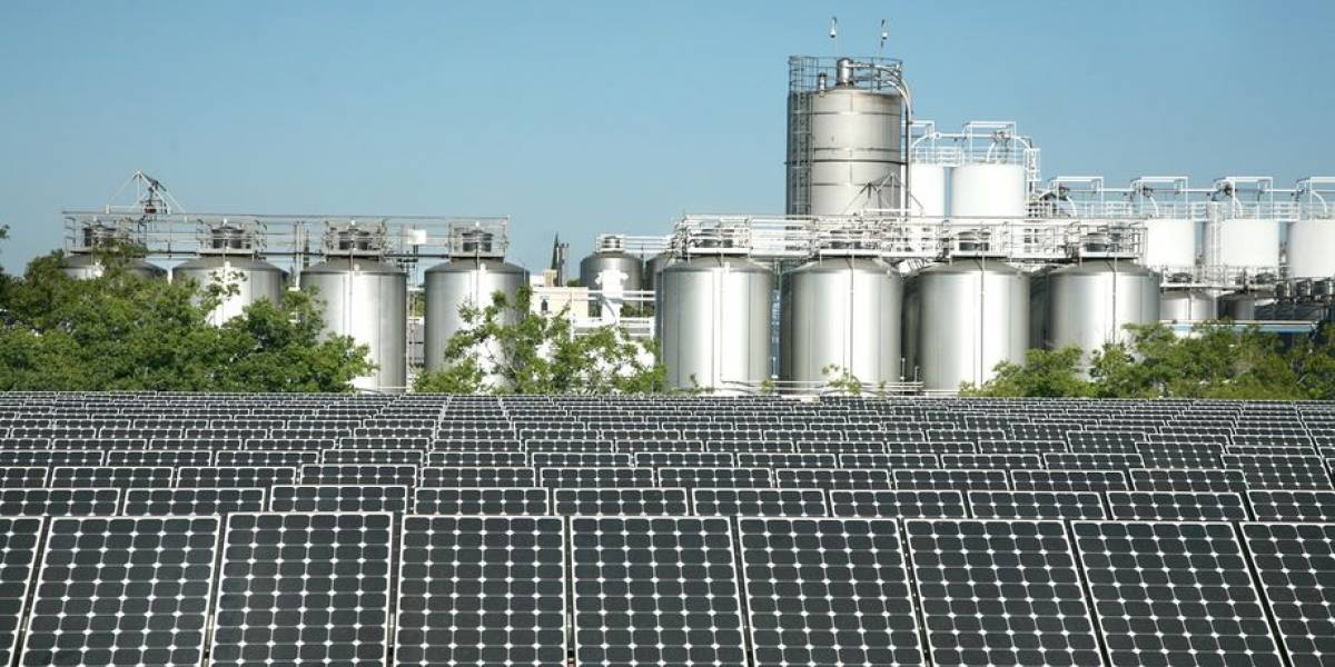 Cervecería estadounidense comenzó a operar utilizando baterías Tesla