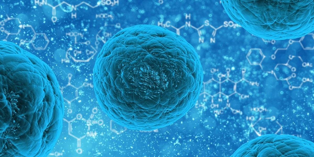 Científicos logran convertir una célula orgánica en un láser