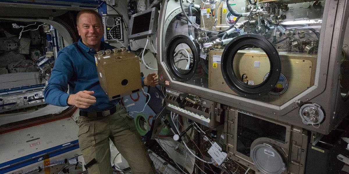 Realizarán contacto con astronautas de Estación Espacial por Facebook Live