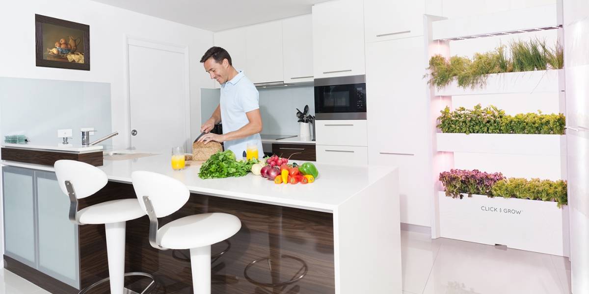 Planta alimentos en la pared de tu casa como si fueras un astronauta