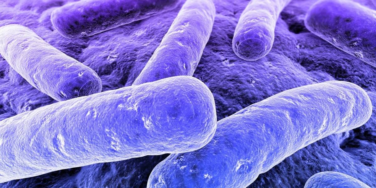 Cientificos quieren usar el crowdsourcing para descubrir nuevos antibióticos