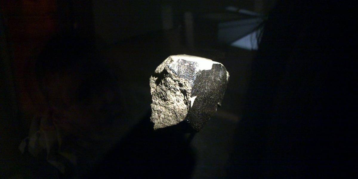 Este meteorito tiene una estructura que parece una célula