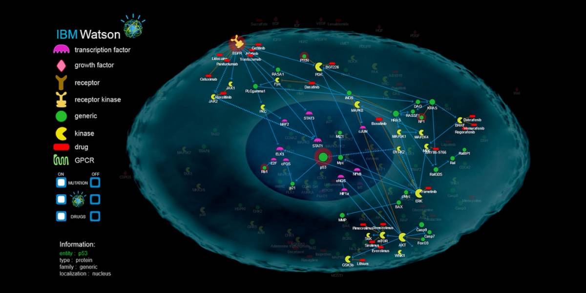 Watson de IBM ahora se dedicará a recomendar tratamientos contra el cáncer