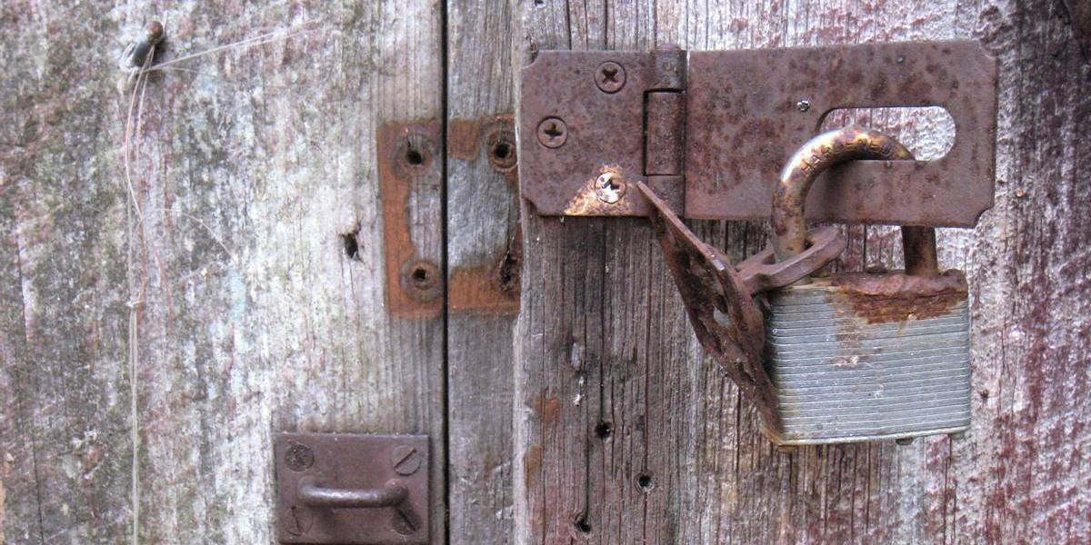 Proyecto de ley busca prohibir que gobierno de EE.UU. obligue a instalar "puertas traseras"