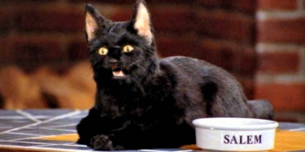 La relación entre las mordidas de gato y la depresión