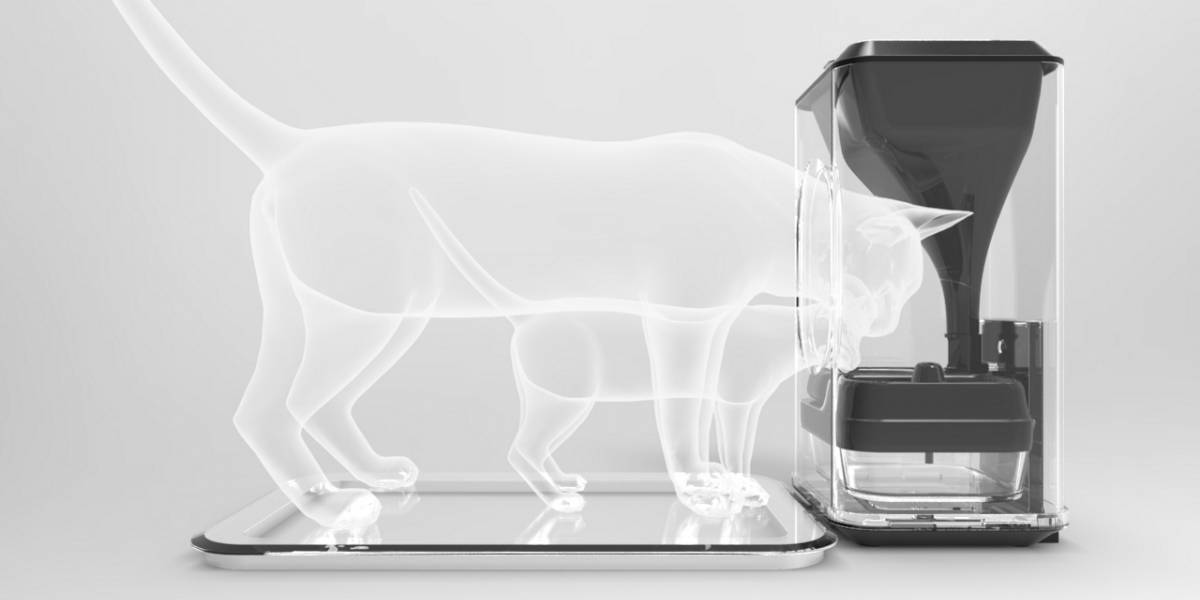 Un despachador de alimento para gatos con reconocimiento facial