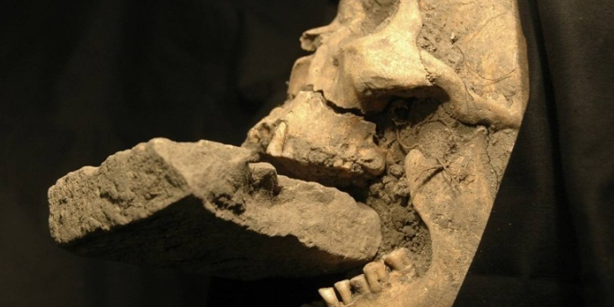 Descubren esqueletos de supuestos "vampiros" en Bulgaria