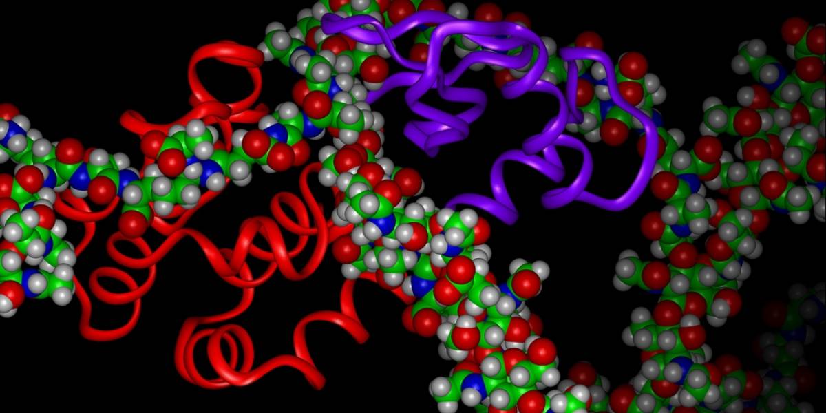 Nobel de Química a quienes crearon la forma de estudiarla usando computadores