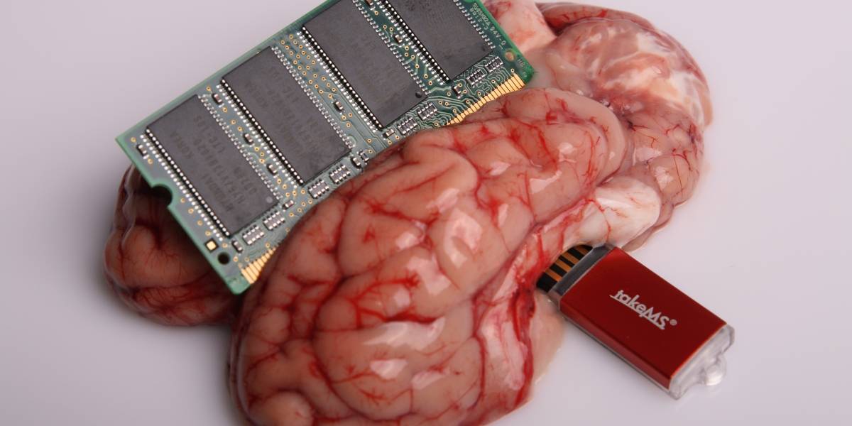IBM busca crear la próxima generación de bioprocesadores inspirado en el cerebro