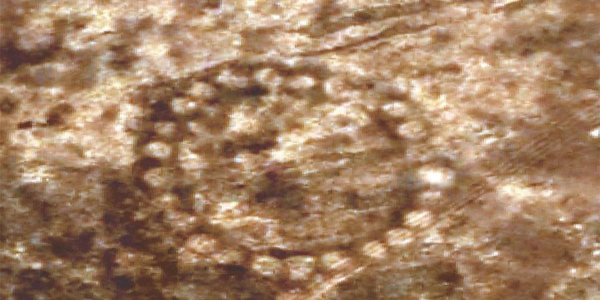 La NASA investiga extraños patrones en el suelo de Kazajistán