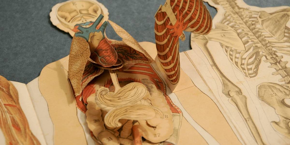 Crean un "Google Maps" para el cuerpo