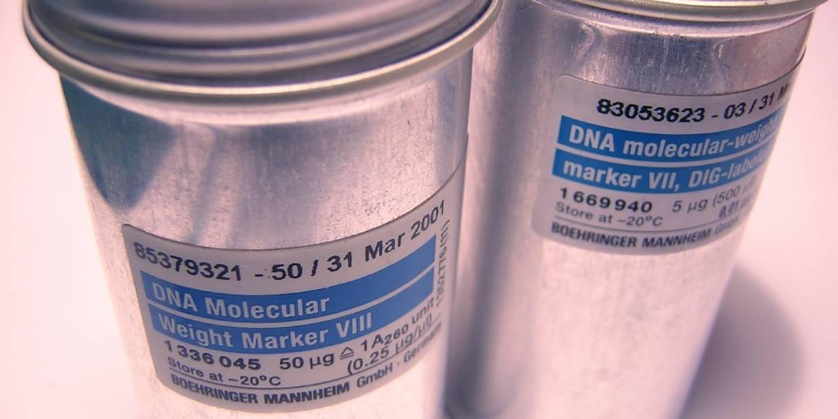 Desarrollan método para diferenciar el ADN de gemelos idénticos