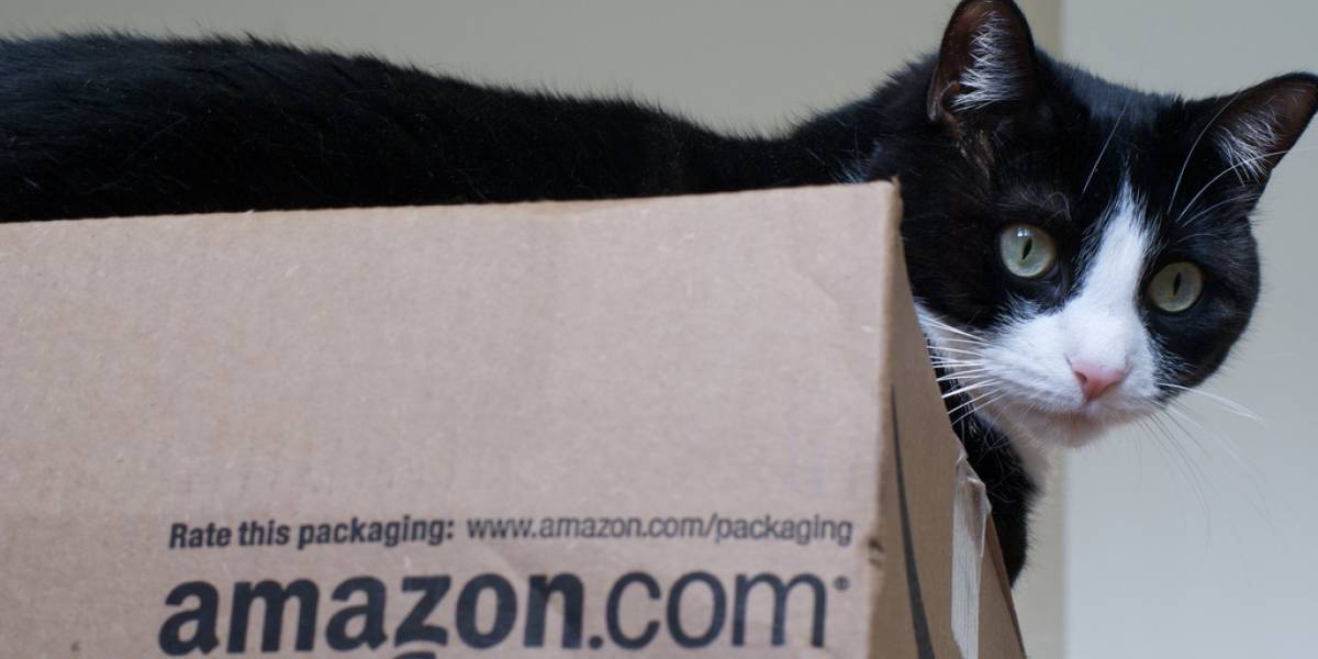 Ganancias de Amazon bajaron 45% en el cuarto trimestre de 2012