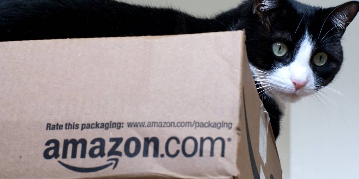 Amazon ya estaría trabajando en domótica y vestibles