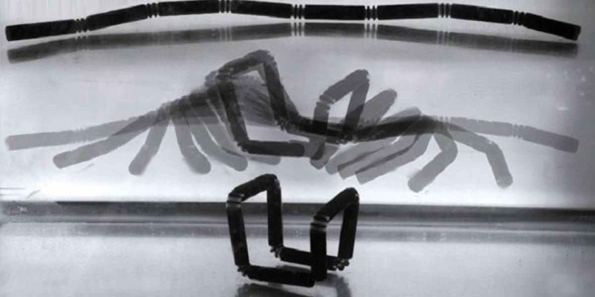 El futuro de la impresión en 3D podrían ser trozos que se amoldan solos para formar un objeto