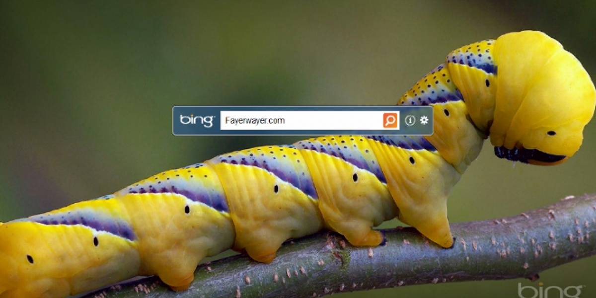 Microsoft lanza aplicación beta de Bing para el escritorio de Windows