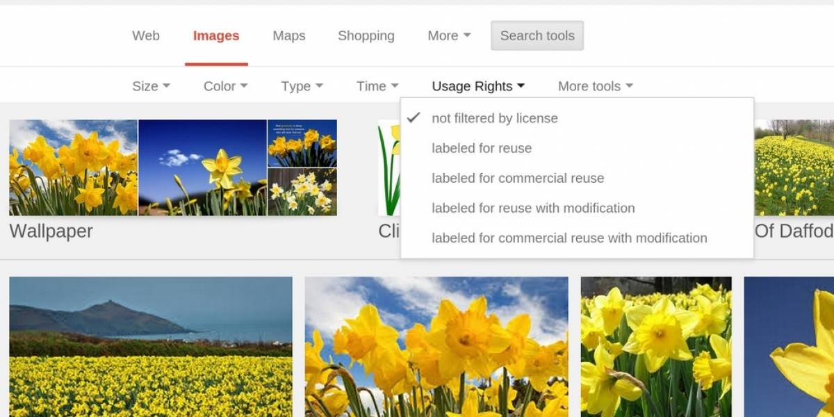 Google facilitó filtrar las imágenes por su licencia de uso