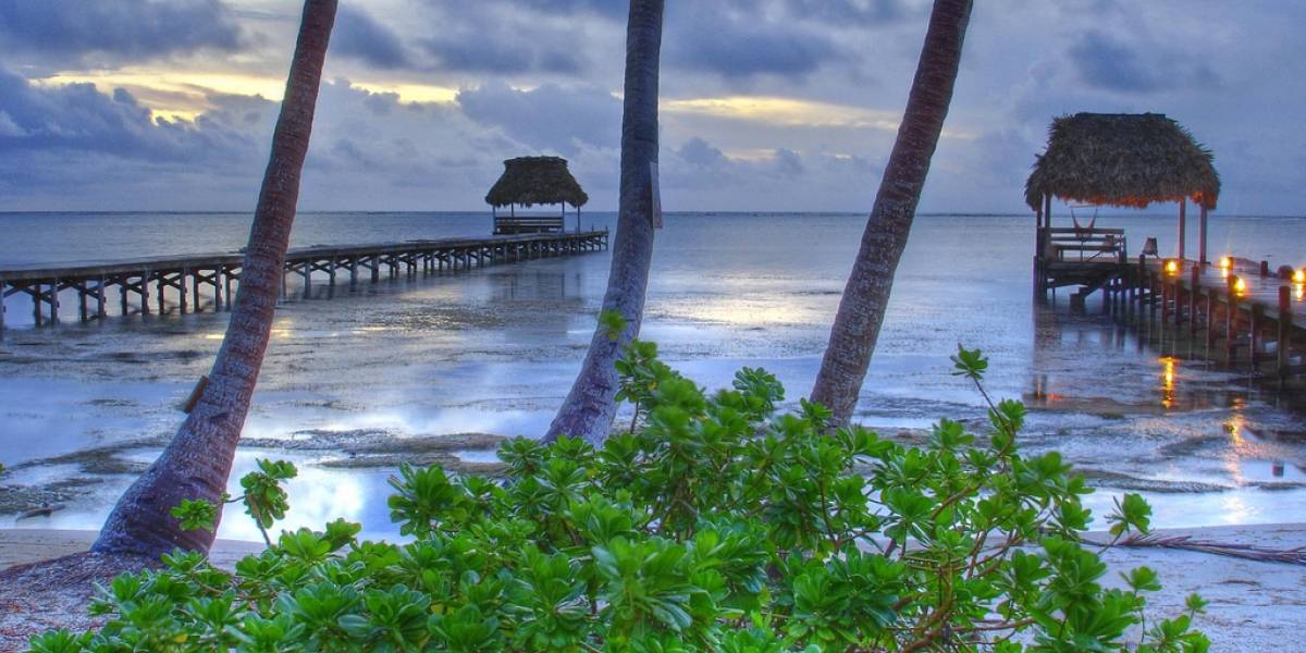 Fundador de McAfee fue arrestado en Belice