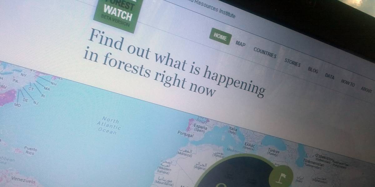 Mapa de Google rastrea la deforestación en tiempo real
