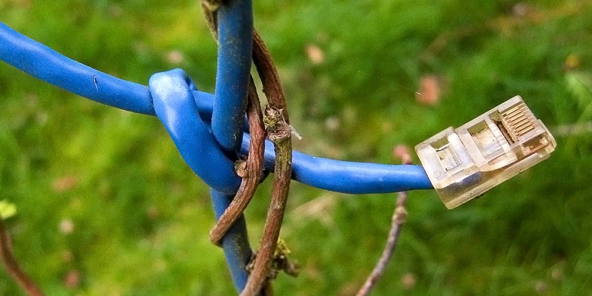 Gobierno en Nicaragua prepara ley para controlar el Internet