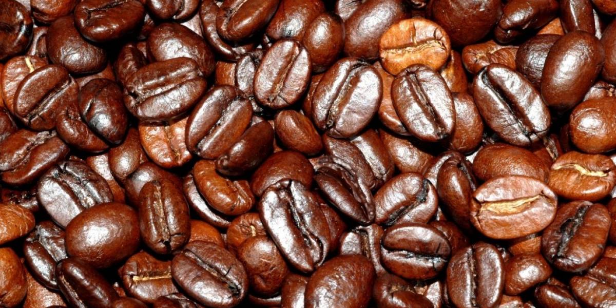Científicos crean bebida alcohólica usando granos de café