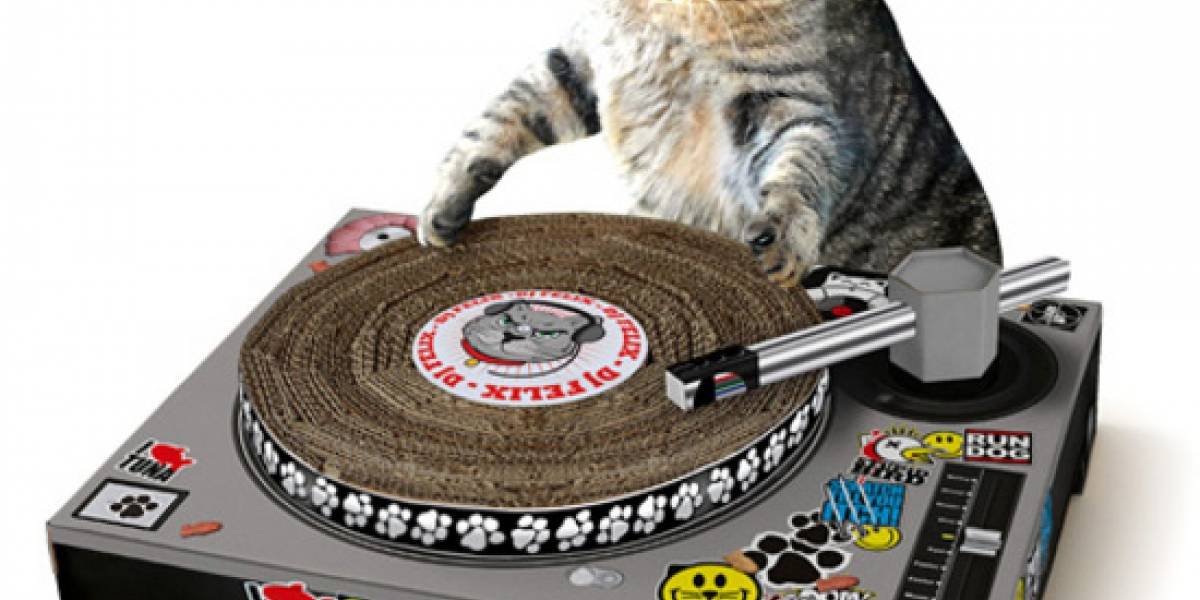 Dale una oportunidad a tu gato como Dj