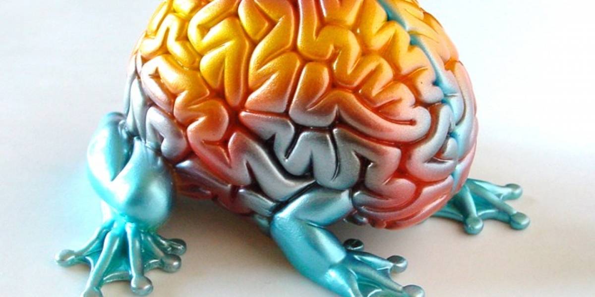 Científicos logran identificar la señal del cerebro que indica que uno siente dolor