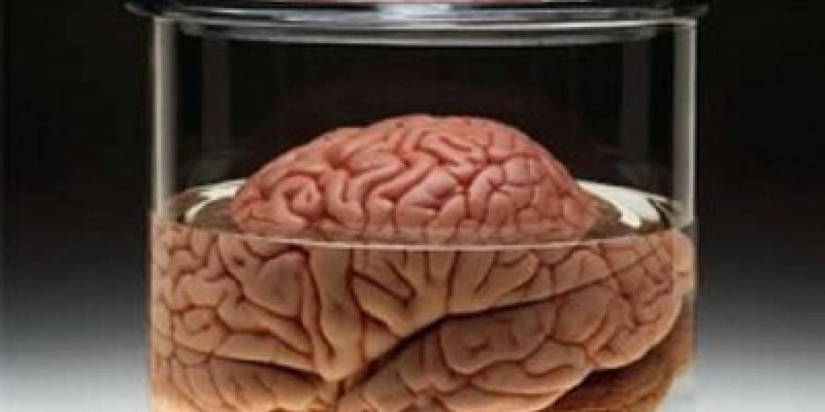 Investigadores europeos quieren simular el cerebro humano con un 'supercomputador'
