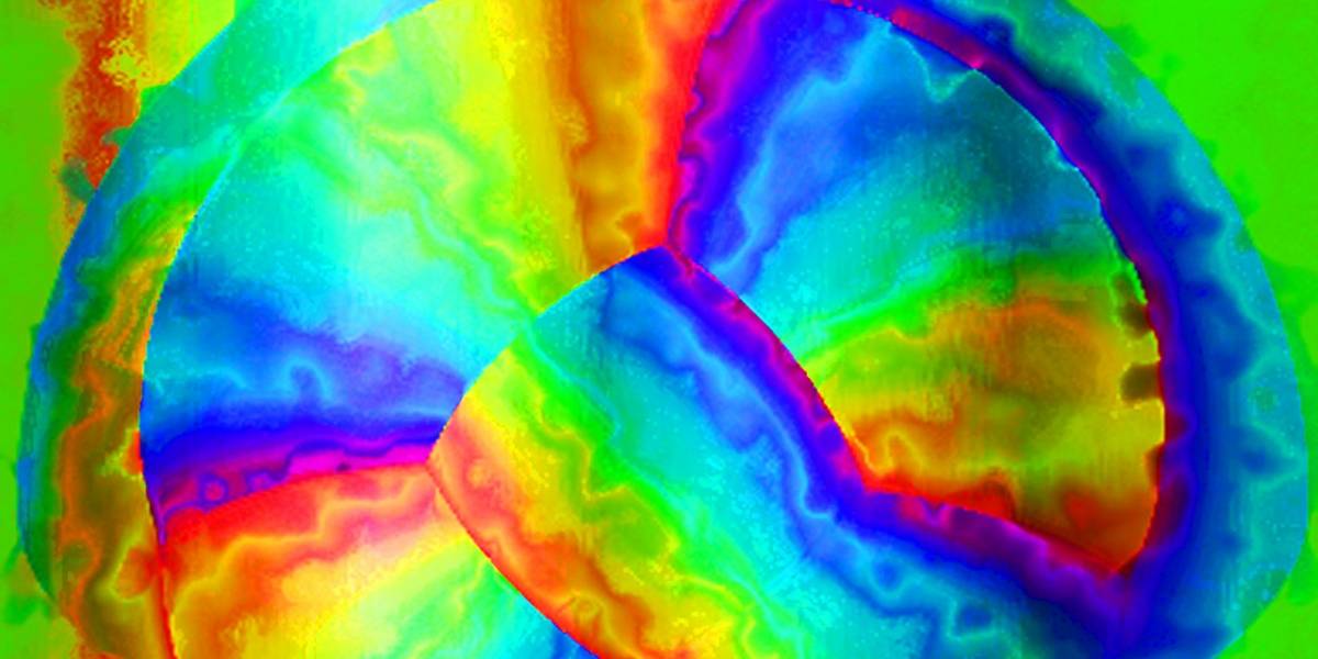 Hongos alucinógenos crean un cerebro hiperconectado